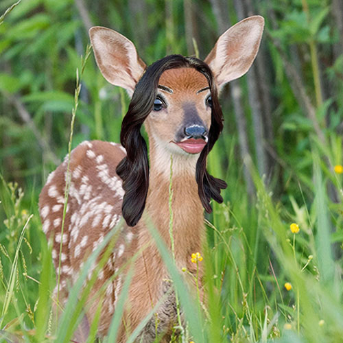 fawn with brown hair