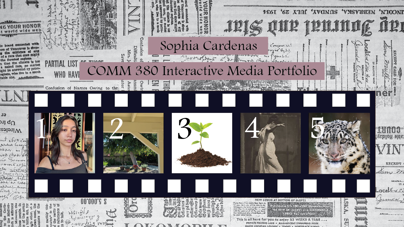 Portfolio photo strip